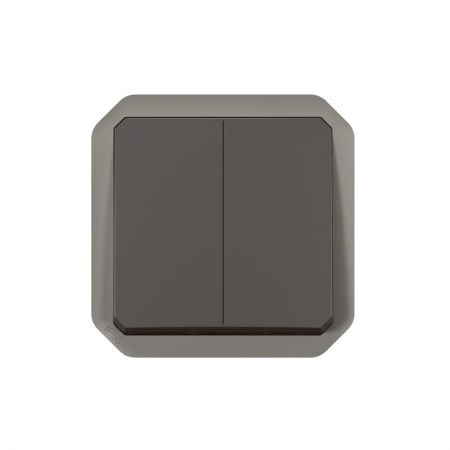 Commande double interrupteur ou poussoir Plexo composable anthracite