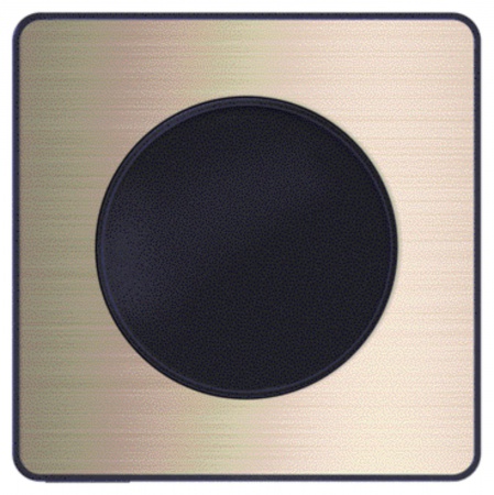 Odace touch, plaque bronze brossé avec liseré anthracite 1 poste